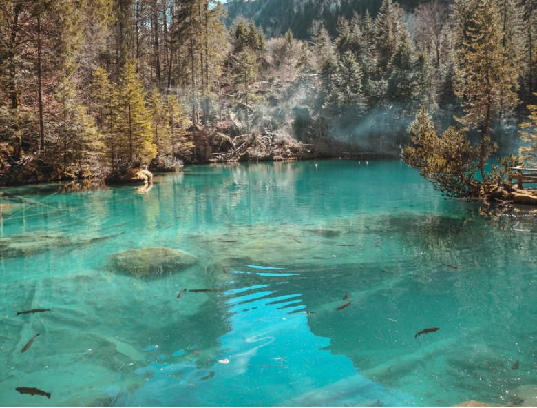 1657525094619368.jpg 4.jpg